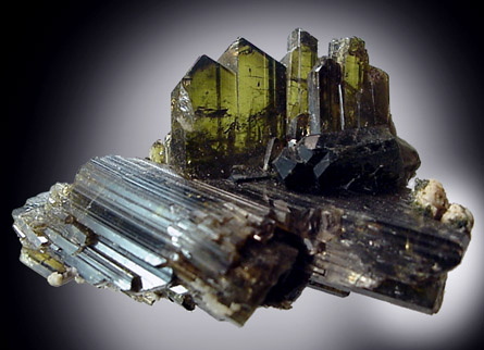 Mineral Specimens: Epidote from Tormiq Area, Skardu Road, Gilgit, Pakistan