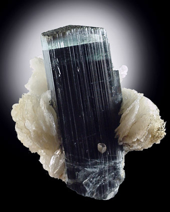 Mineral Specimens: Tourmaline and Albite from Stak Nala, Skardu Road, Gilgit, Pakistan