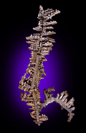 Mineral Specimens: Copper, dendritic crystals from Champion Mine, Painesdale, Michigan