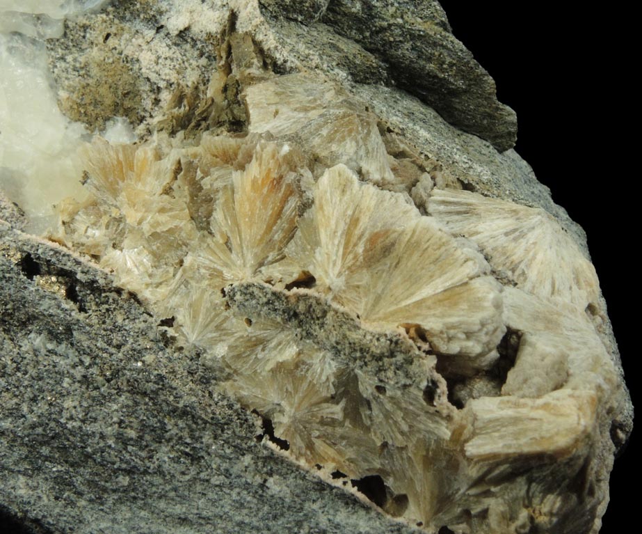 Detail view of mineral Pyrite and Stilbite-Ca in Calcite-filled vein for sale from Harlem Meer, in the northeast corner of Central Park, New York City, New York County, New York