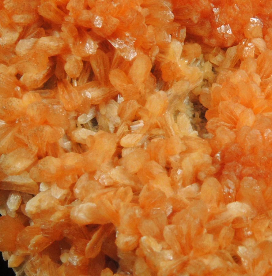 Detail view of mineral Stilbite-Ca and Calcite for sale from Water Tunnel No.3 under Manhattan Island, New York City, New York County, New York