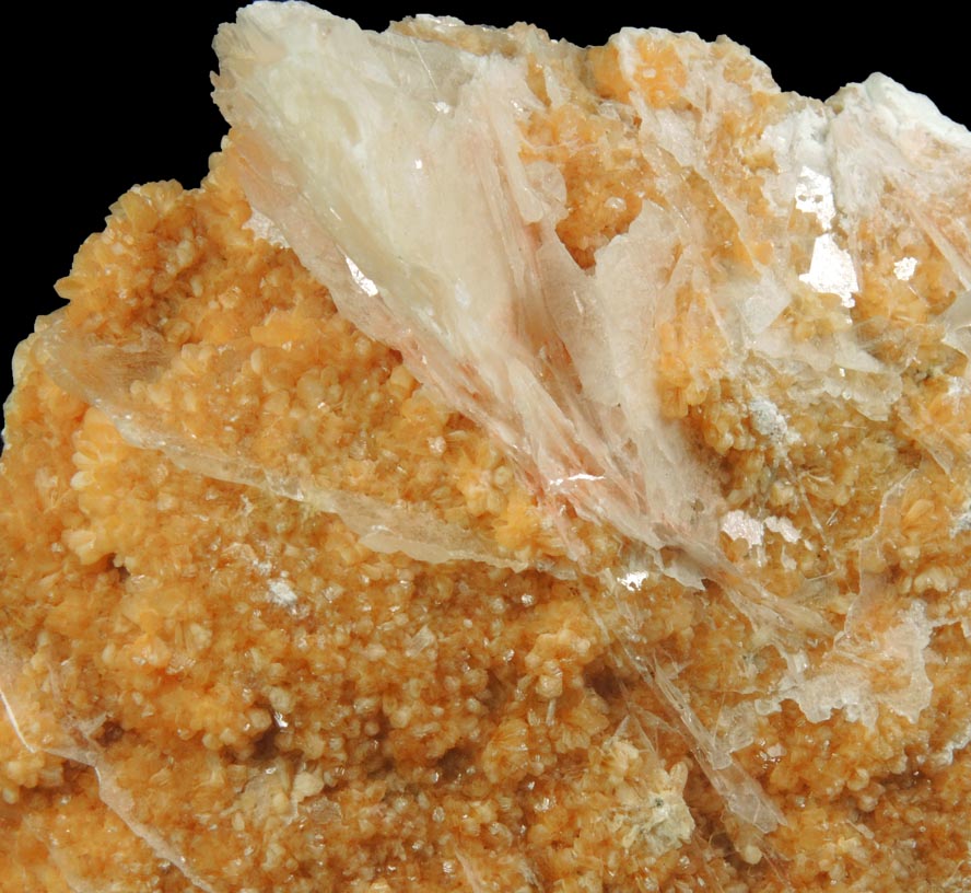 Detail view of mineral Stilbite-Ca and Calcite for sale from Water Tunnel No.3 under Roosevelt Island, New York City, New York County, New York