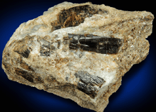 Dravite-Uvite Tourmaline in Inwood Marble for sale from northwest corner of 207 Street and Broadway, Manhattan Island, New York City, New York County, New York