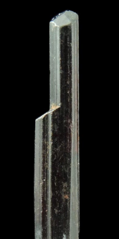 Detail view of mineral Rutile for sale from Harlem Ship Canal excavation, norther Manhattan Island, New York City, New York County, New York