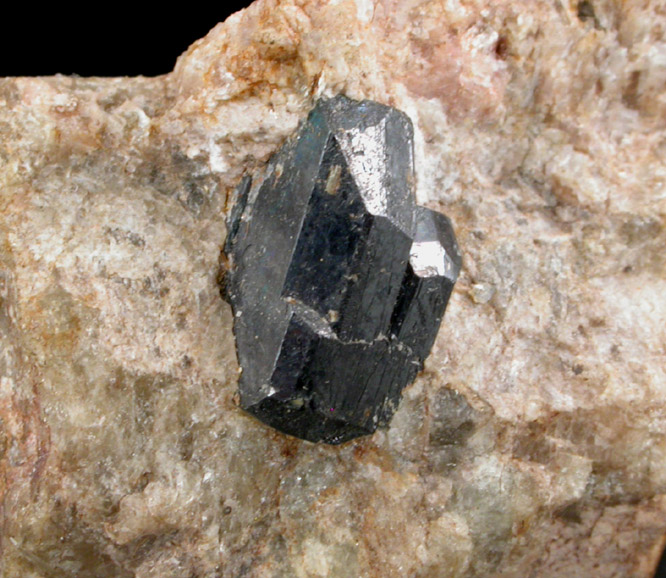 Columbite-(Fe) from Fort George, Manhattan 