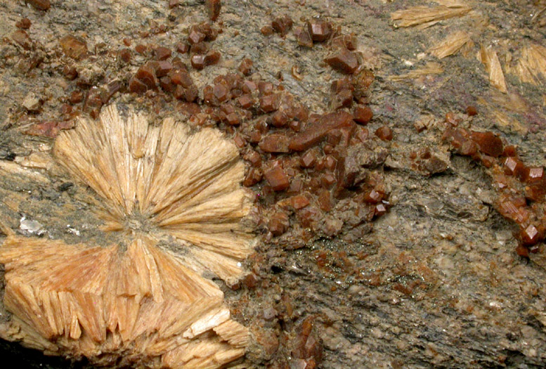 Harmotome (brown) with radiating tan stilbite from 96th St. & 4th Ave, Manhattan 