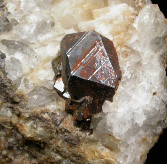 Limonite pseudomorphous after 10 mm pyrite from Broadway at 207th Street, Manhattan 