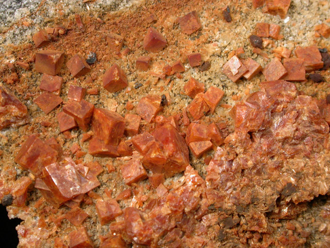 Chabazite crystals to 6 mm from a NY Subway excavation, Manhattan, NY 