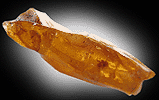 Mineral specimen: Amber with insect inclusion from Clay pits, Sayreville, New Jersey.