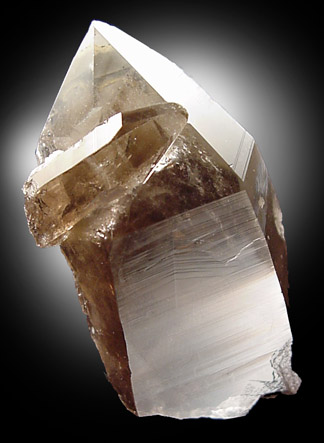 Mineral Specimens: Quartz var. Smoky from Peter's Pocket, N. Moat Mt., Bartlett, New Hampshire